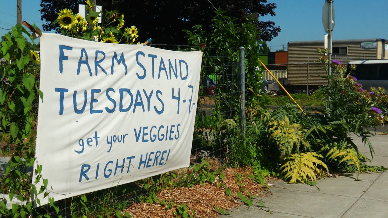 An Urban Farmer in the City