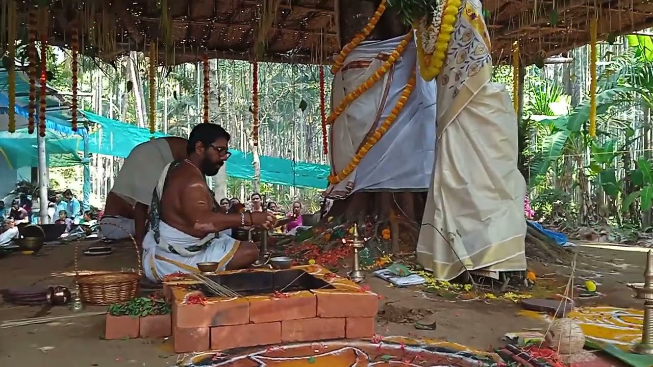 അരയാൽ കല്യാണം കിണാവൂർ എടം ശ്രീ കിരാതേശ്വര ക്ഷേത്രം 
