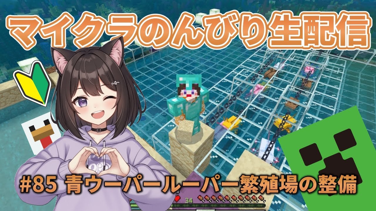 【#85】マインクラフト初心者のんびり生配信【青ウーパールーパー繁殖場の整備】