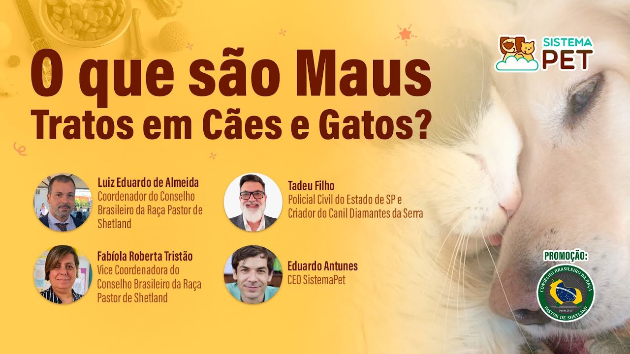 O que são aus tratos em cães e gatos ?