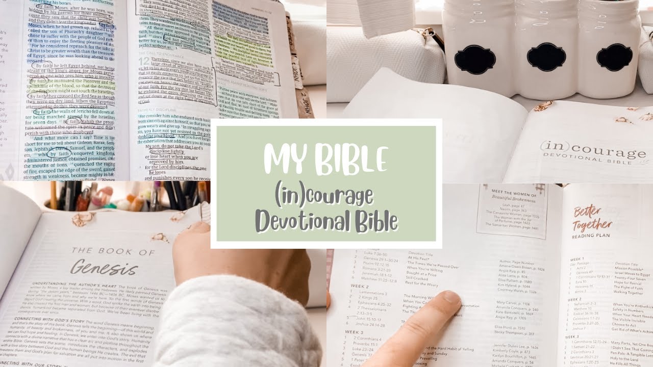 MY BIBLE: (in)courage Devotional Bible Flipthrough