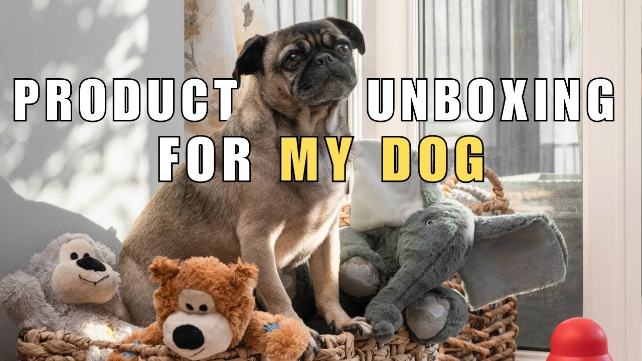 Dog Product Haul / Unboxing (Kong, Adios, Scrumbles, Lickimat and more) 🐾