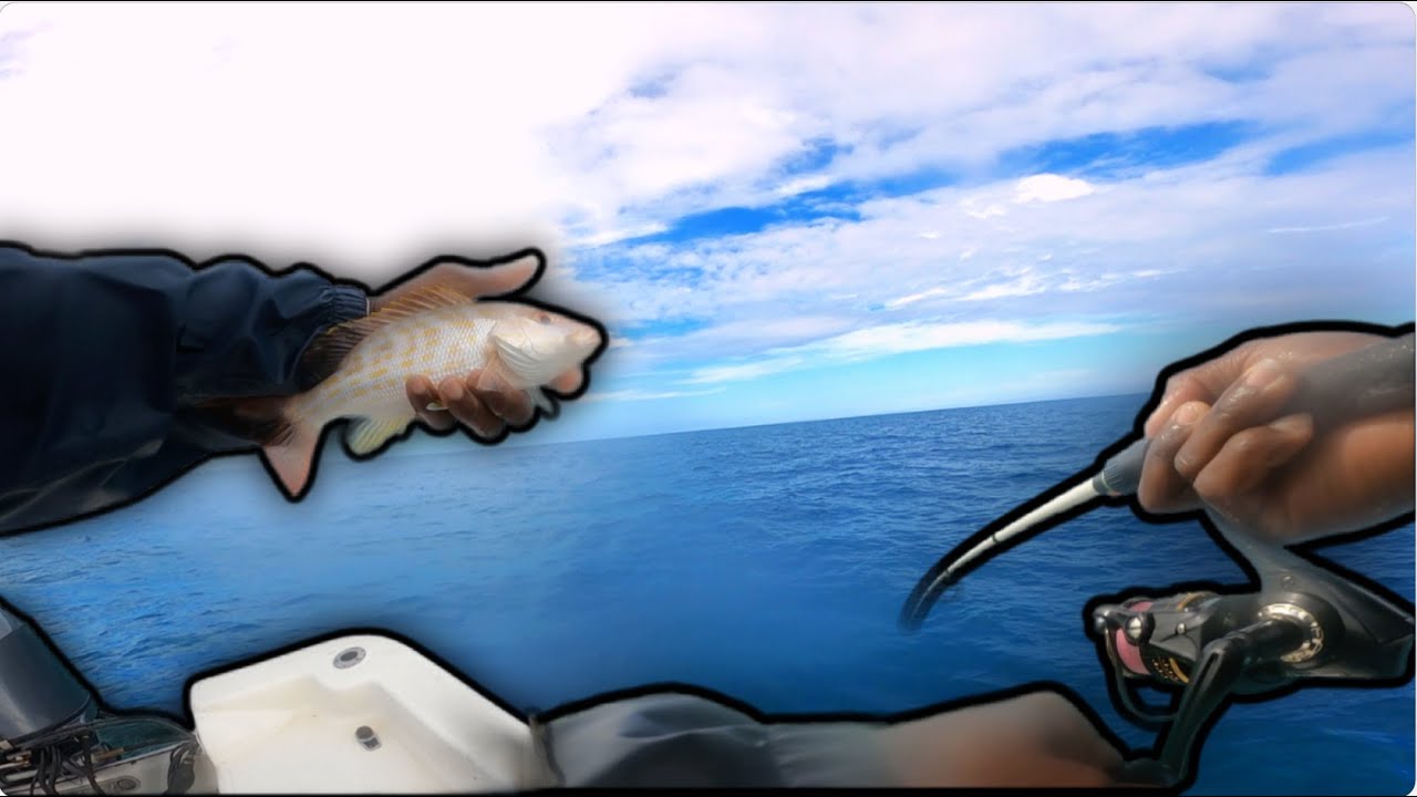 Saltwater Fishing in the Gulf trying to get a GIANT!!