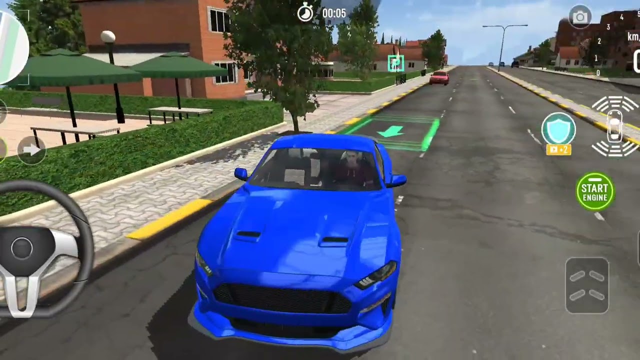 Driving school guidelines 