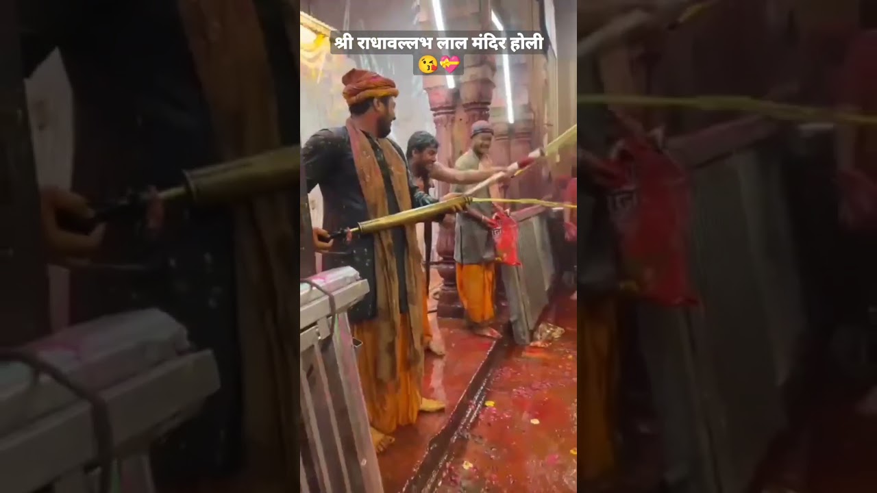 राधावल्लभ लाल जु होली #vrindavan #radhavallabh #barsana #radha #holi #trading #radhakrishna #videos