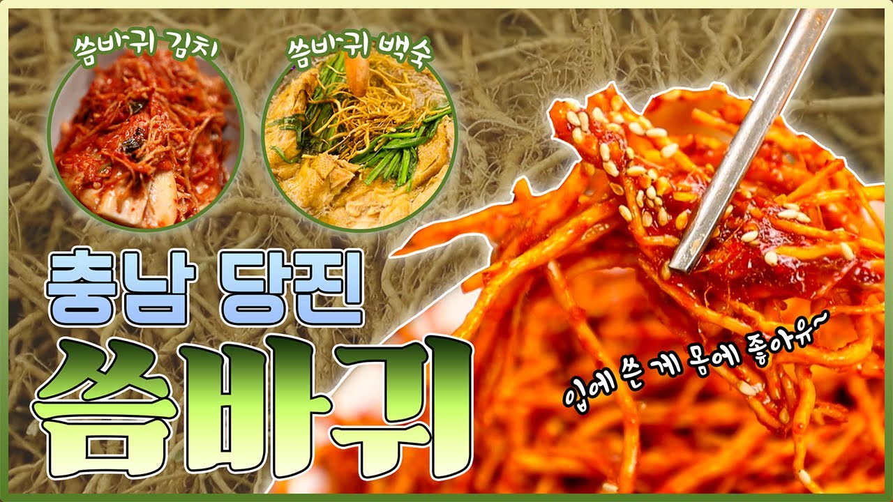 자연의 깊은 쓴 맛🌱 충남 당진 씀바귀😍 [6시N내고향] / KBS대전 방송