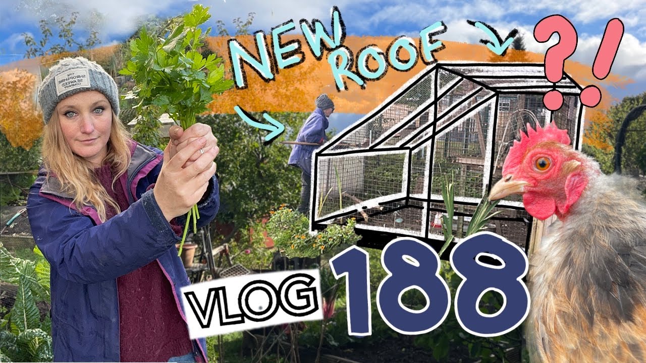Reroofing the Henhouse. And sowing more Broadbeans. Prepping for Winter… Ep188 || Plot 37