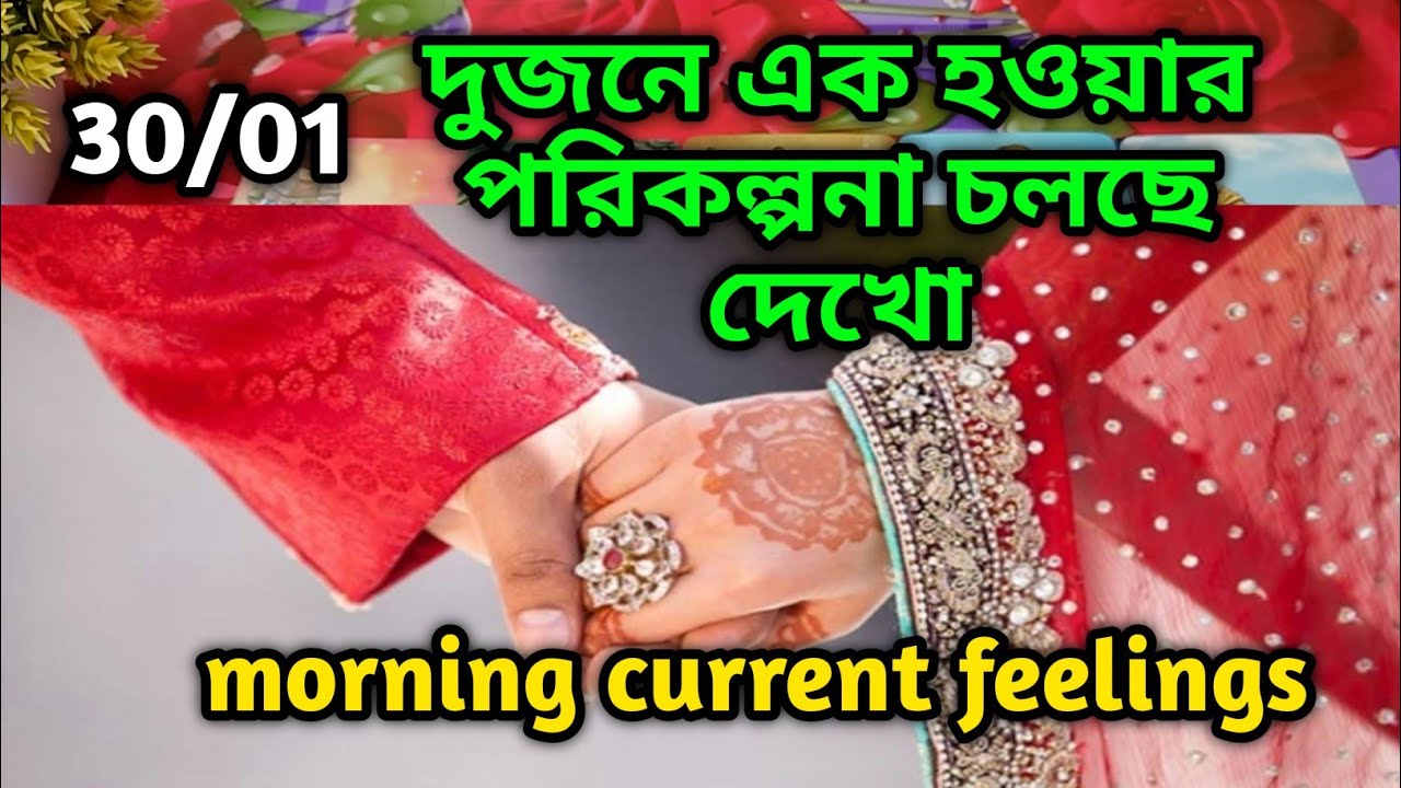 দুজনে এক হওয়ার পরিকল্পনা চলছে দেখো😍Morning Thought feelings tarot Current feeling energy today 