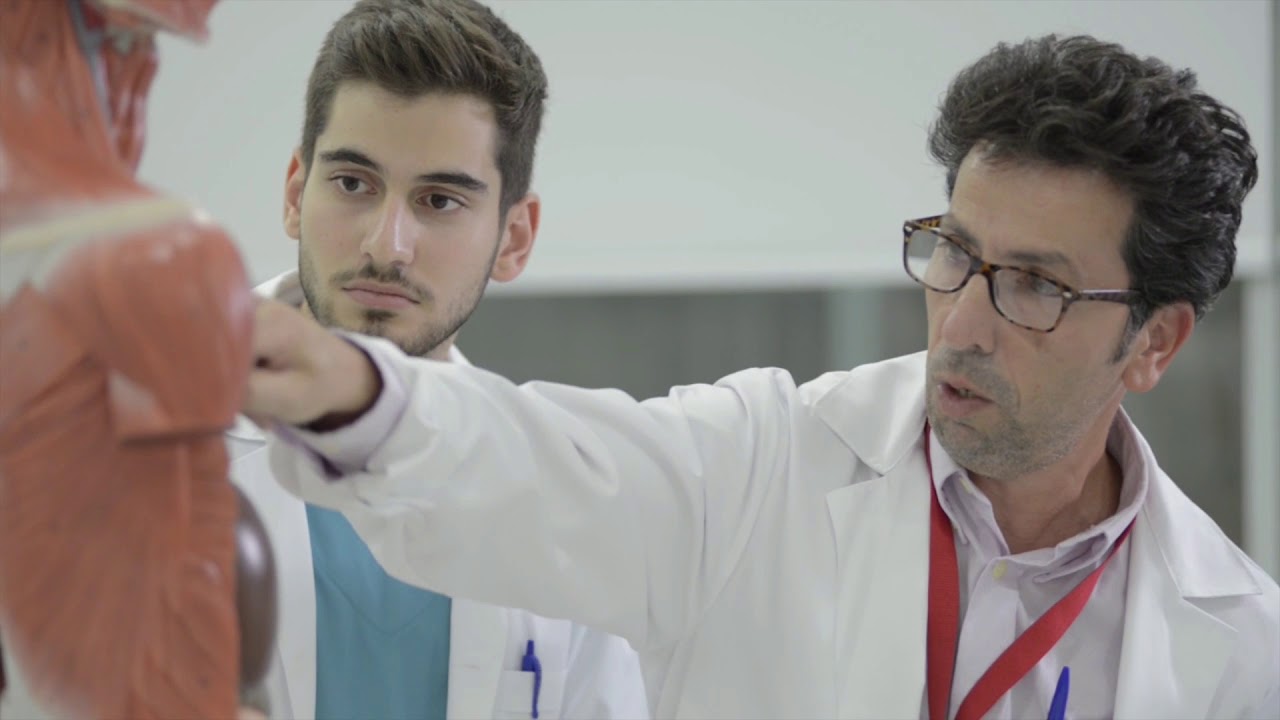 School of Medicine  - European University Cyprus