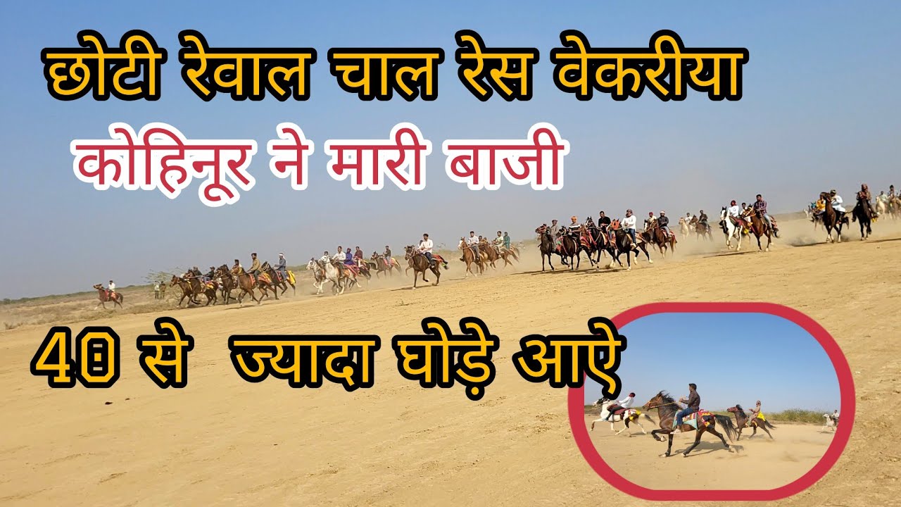 छोटी रेवाल चाल रेस वेकरीया || #vekariyarannhorserace2025 #horse #horseriding #shortvideo #vekriya