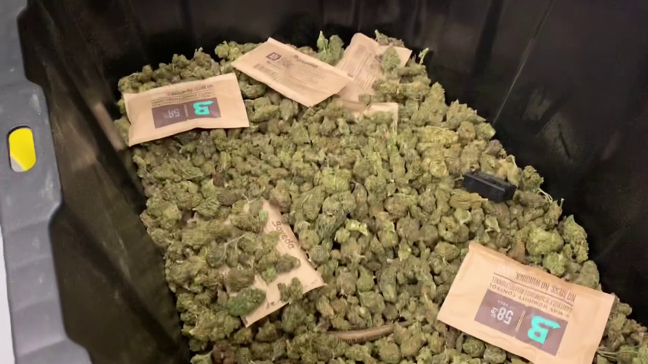 Pre-Rolled Hemp Joints