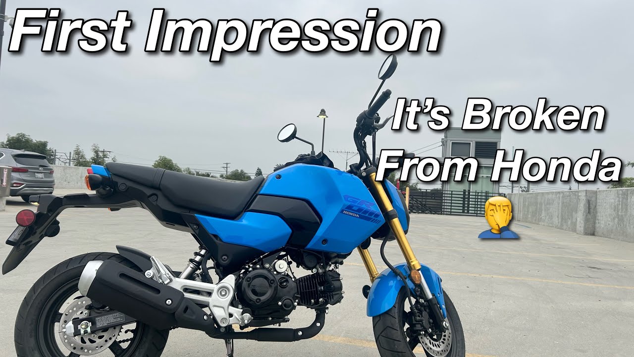Honda Grom First Impression