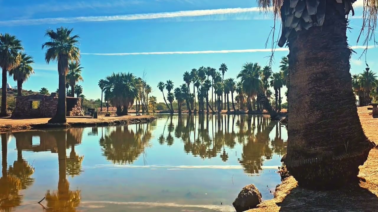 Desert Oasis Ambience 🌴 Relaxing Nature Sounds | Flute Music & Flowing Water