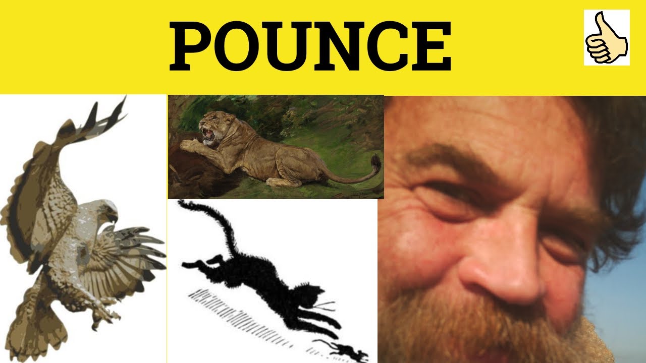 🔵 Pounce Meaning - Pounce Examples - Pounce Definition - Cambridge Advanced Vocabulary - Pounce