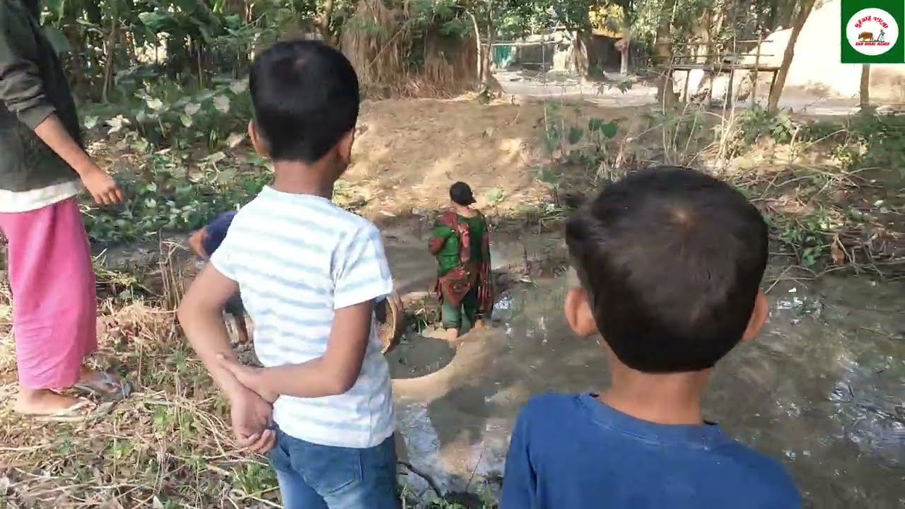 ছোট পুকুরে দেশি মাছ ধরলাম | village fishing video