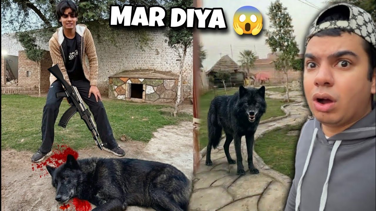 Finally Wolf Ko Mar Diya 😱 SW You Are Safe Now 😎