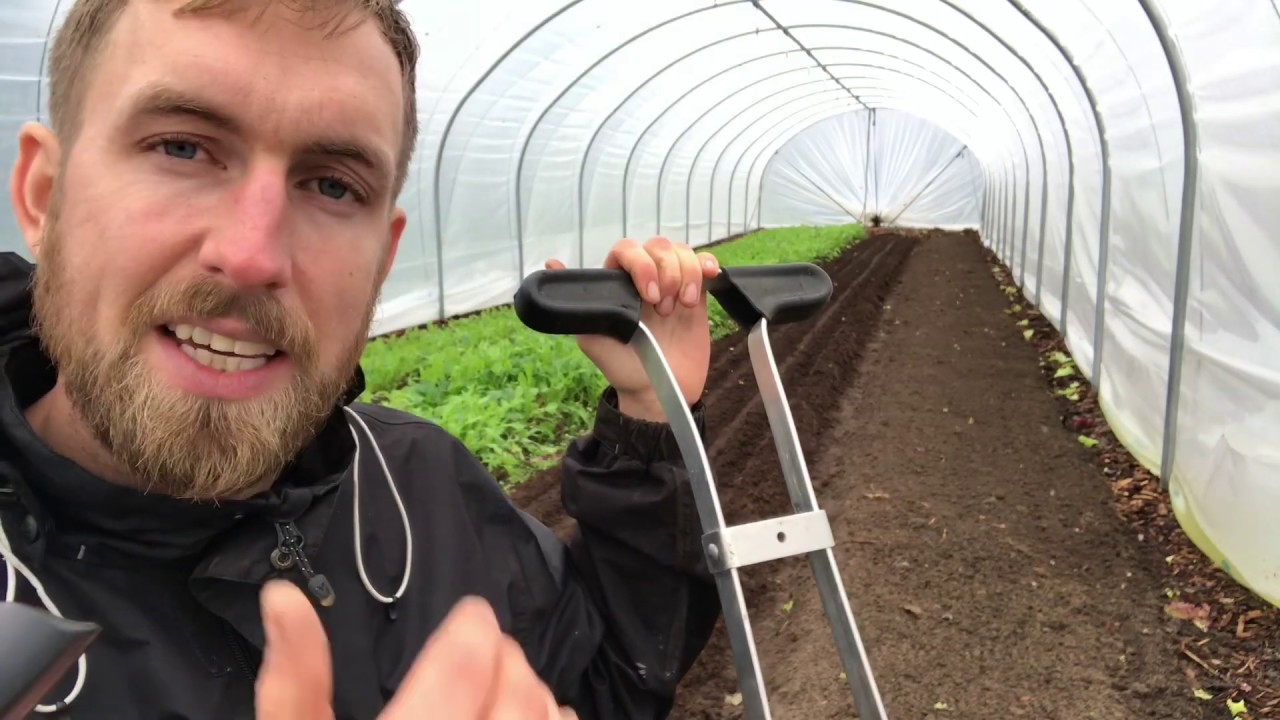 VLOG 17 - S&Aring;NING AF TIDLIGE GULER&Oslash;DDER