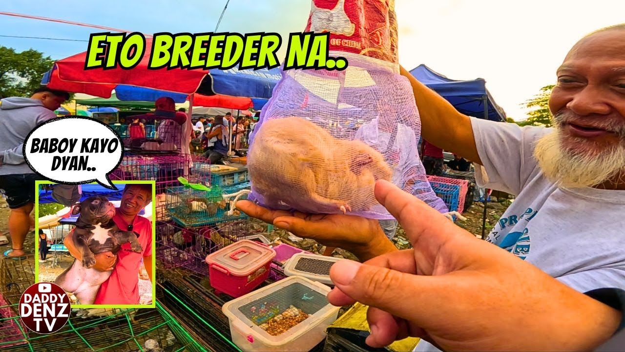 HINDI MASELAN ALAGAAN, MABILIS DUMAMI.. / pt.2 NOV. 21 @BOCAUE PETS & LIVESTOCK MARKET