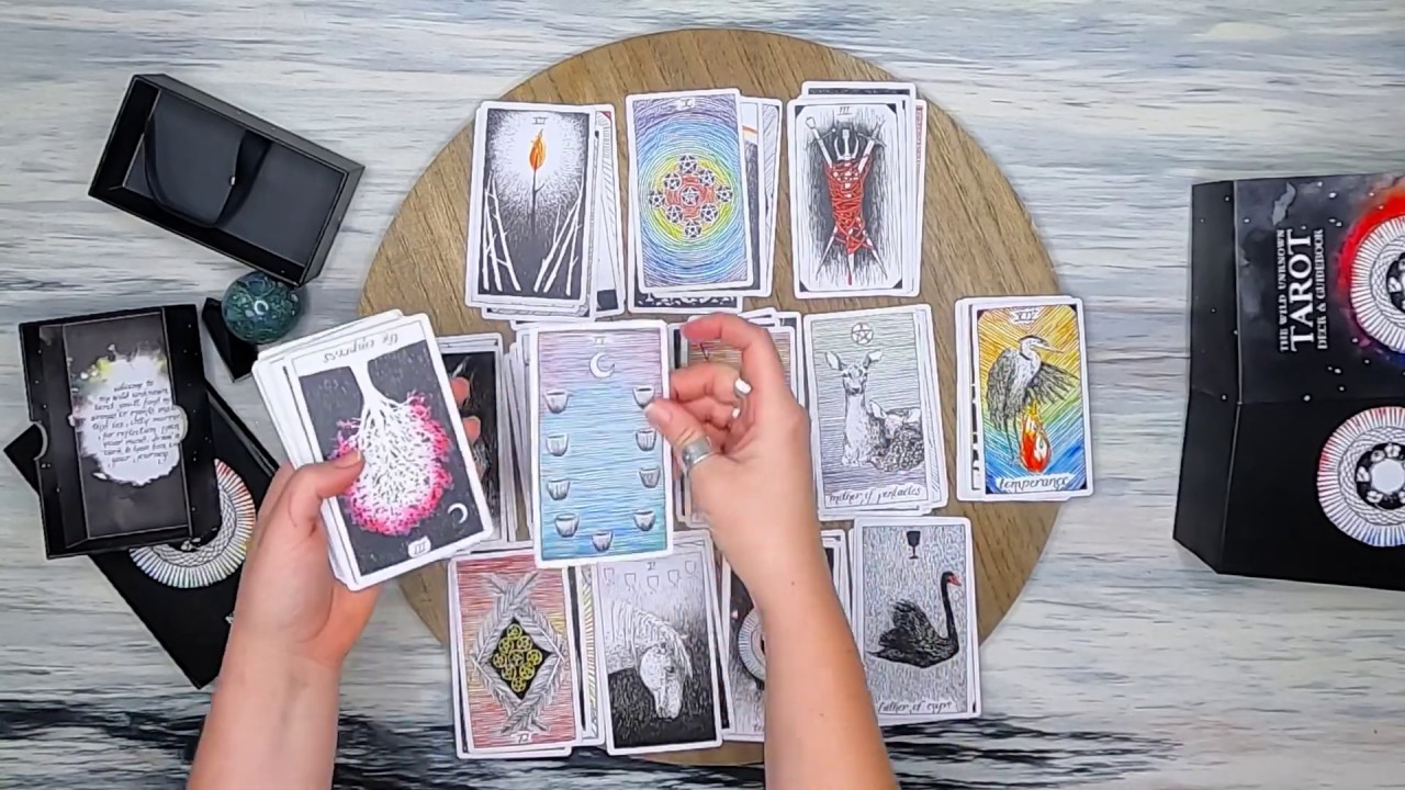 Wild Unknown Tarot Deck by Kim Krans // Walk Through