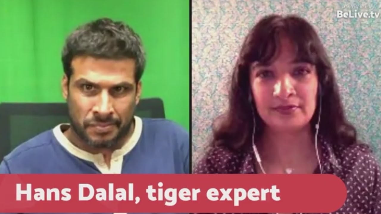 Hans Dalal | Tiger Attack