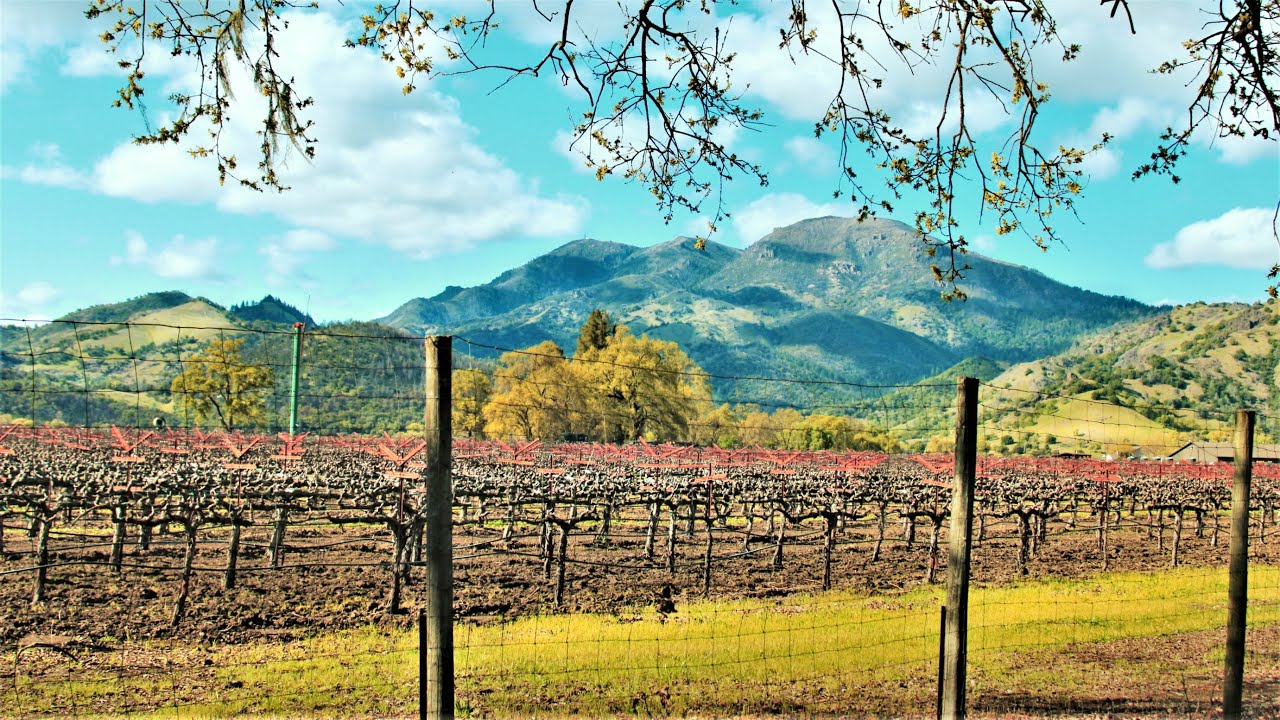 Napa County - Mount Saint Helena Hike