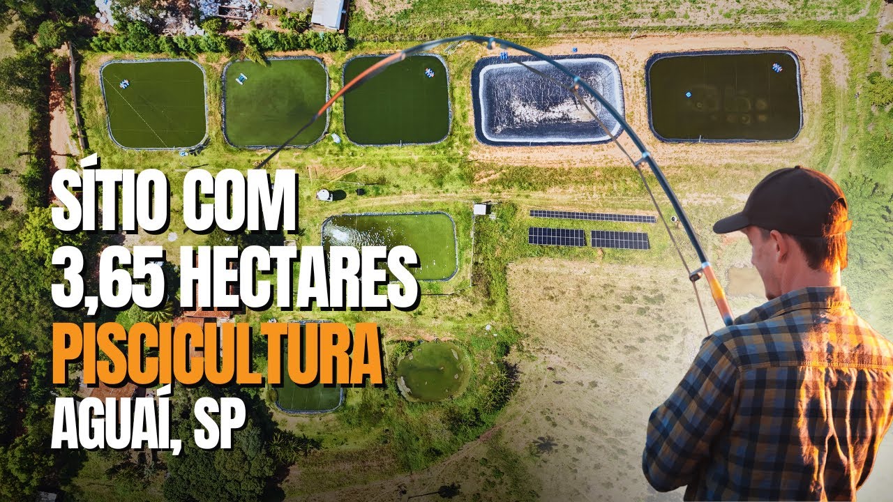 ✨SÍTIO COMPLETO em Aguaí, SP! Piscicultura + Casa Sede + Usina Solar – Veja Agora!🔥🌳