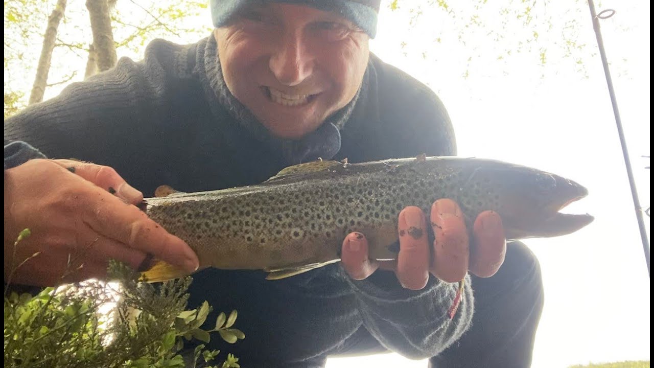 Hvordan fiske med mark etter ørret