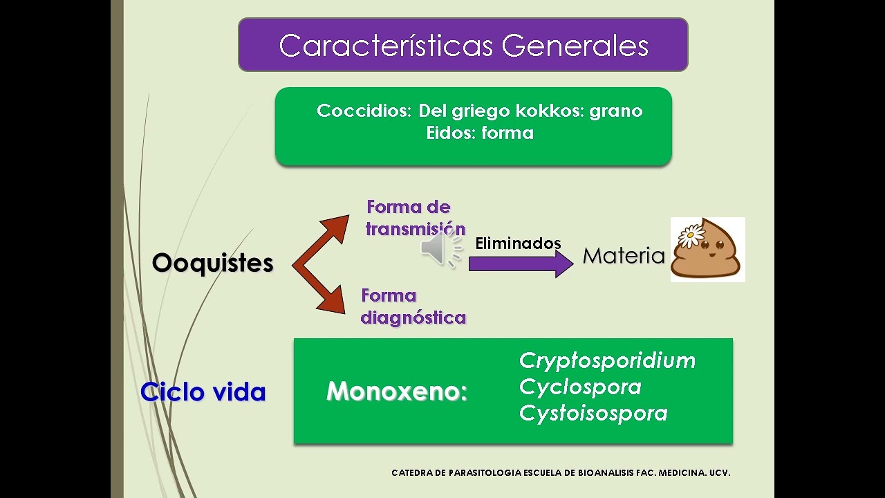 Coccidios intestinales