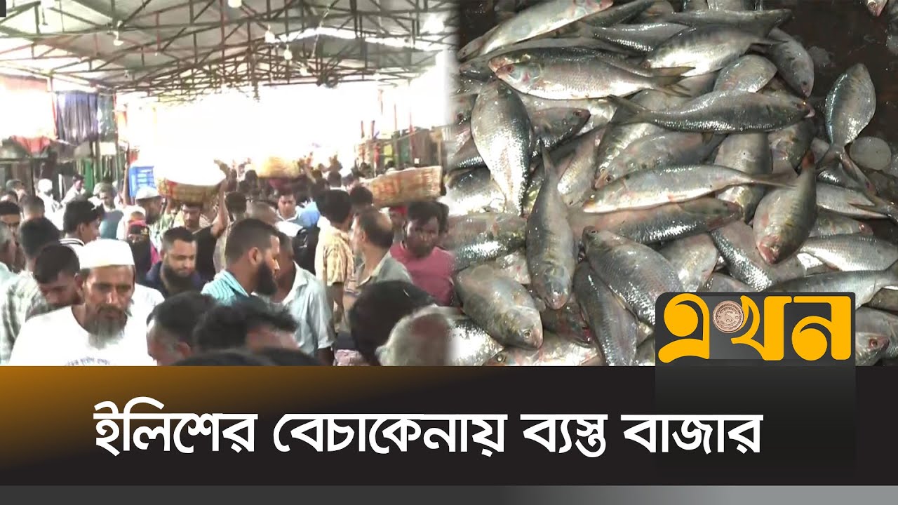 নিষেধাজ্ঞা শেষে পদ্মা-মেঘনায় মাছ শিকারে ব্যস্ত জেলেরা | Hilsa Fish | Bazar News | Ekhon TV