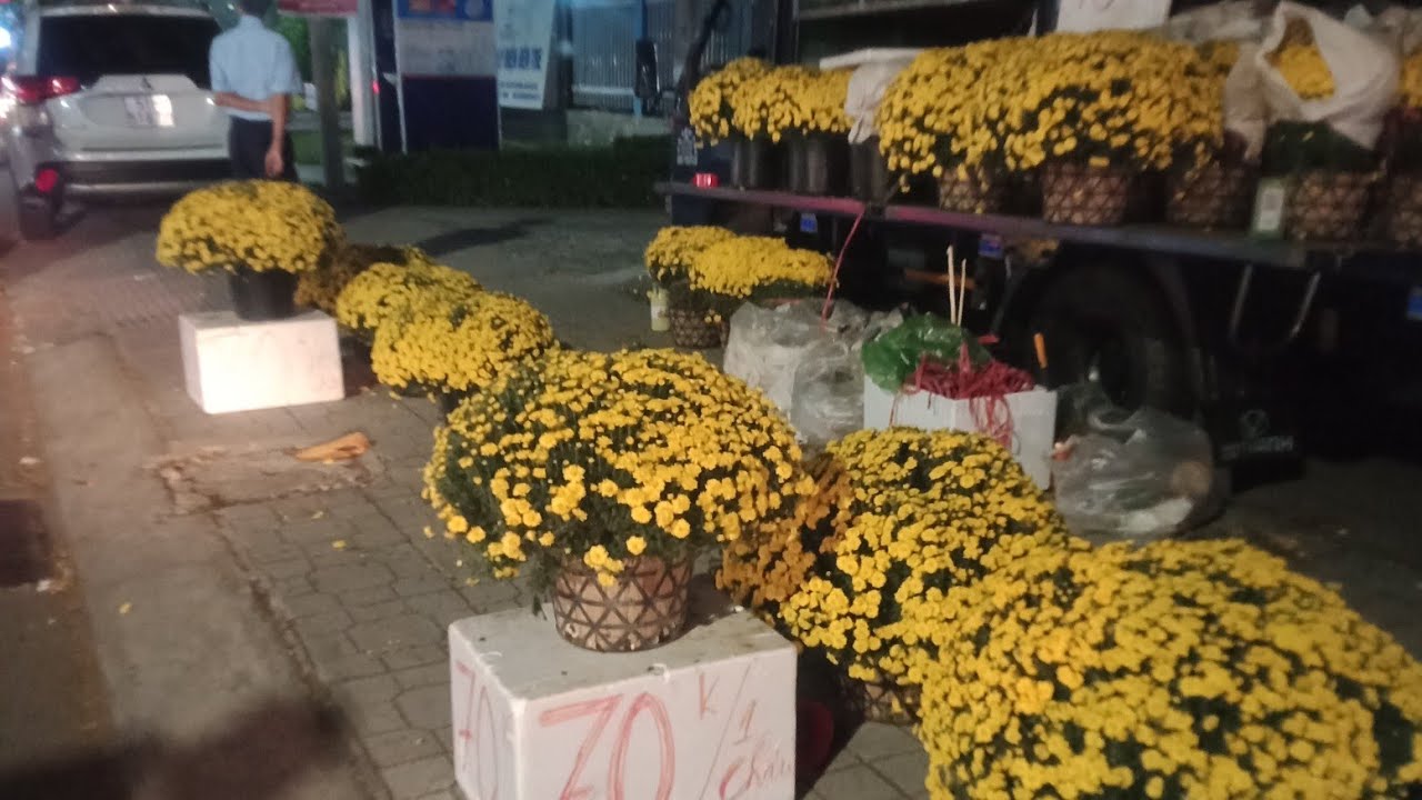 Phần 2 chợ hoa xuân bến tre 