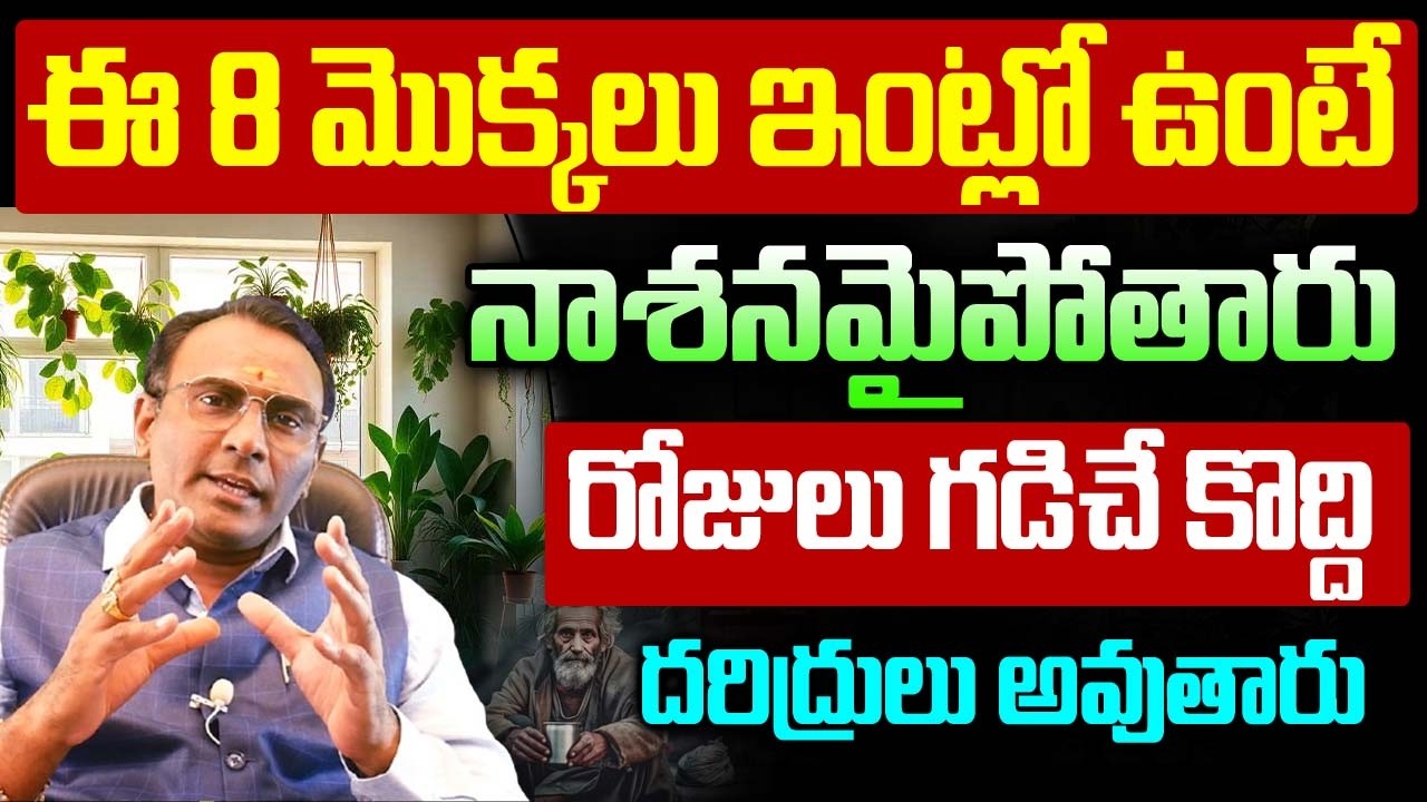 Throw Negativity Outside of the house ! These Plants Helps you Make better Home..| Bhakthi Nilayam