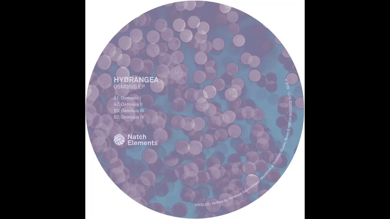 Hydrangea - Osmosis II [NTCEL02]