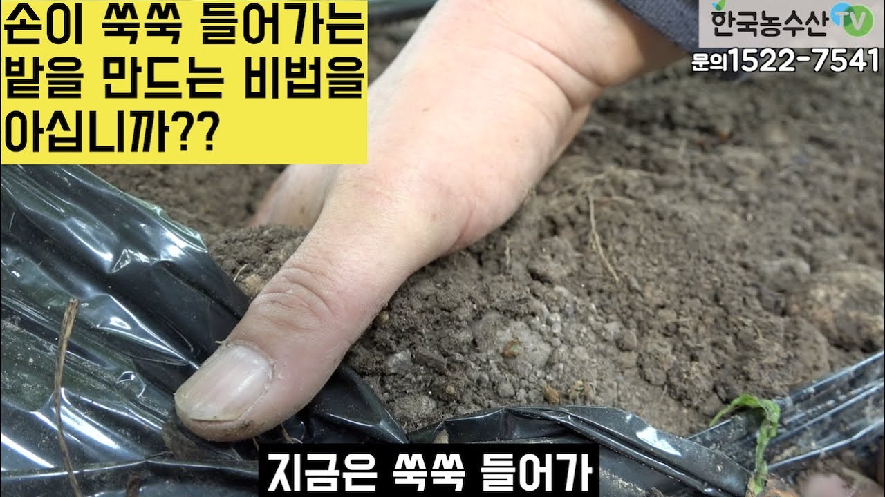 [한국농수산TV] 손이 쑥쑥 들어가는 밭 만들기 프로젝트!! 토양개량, 떼알구조 밭 만들어 보세요! 경남 밀양 옥시팜 문의 1522-7541