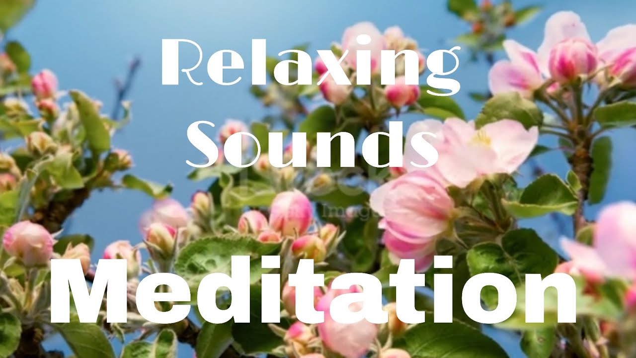 Relaxing Sounds for Meditation #youtubevideo #viralvideo #meditation #relaxation 