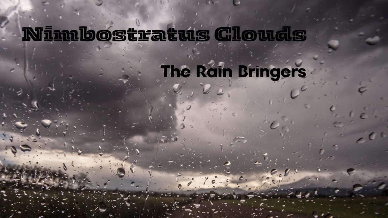 Nimbostratus Clouds,  The Rain Bringers