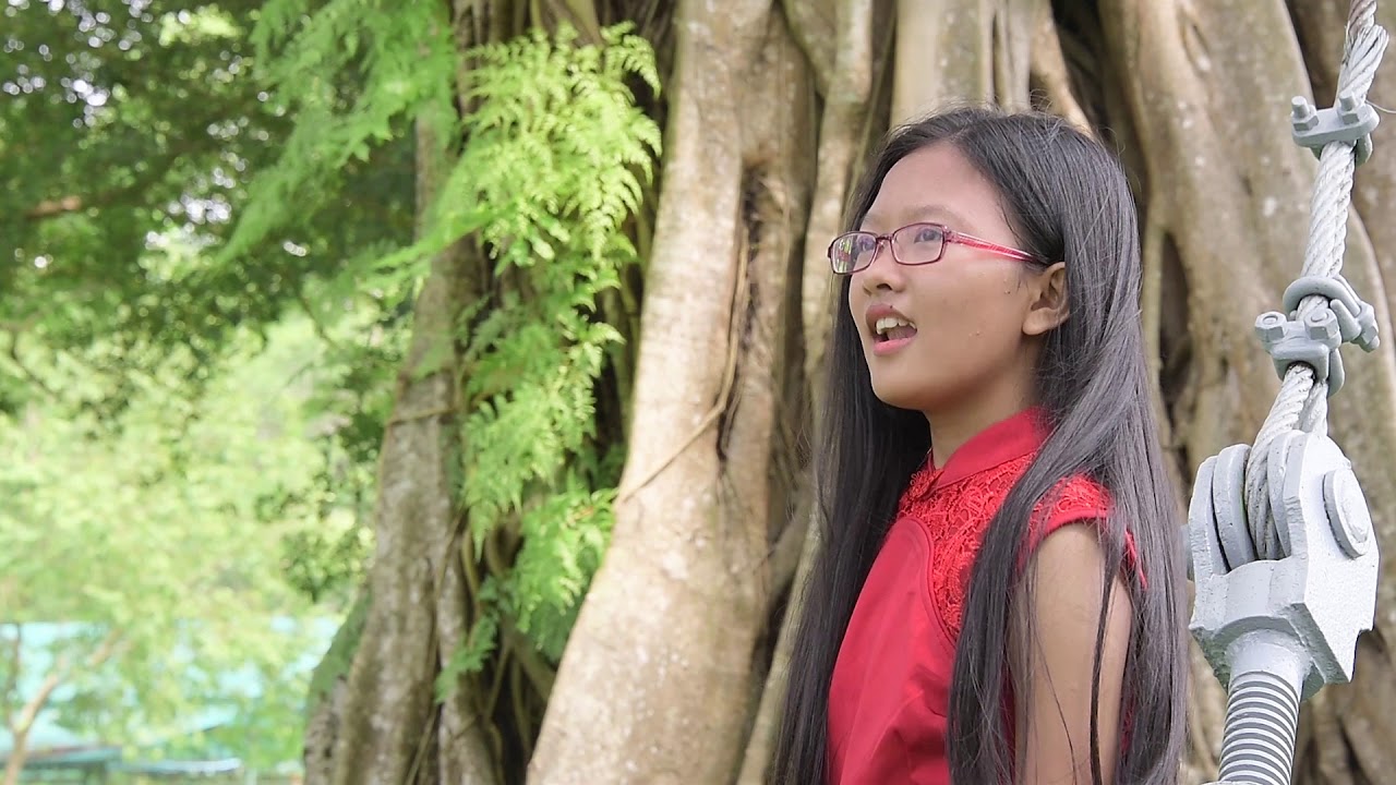 Thu Ciam Lui - Lian Nu