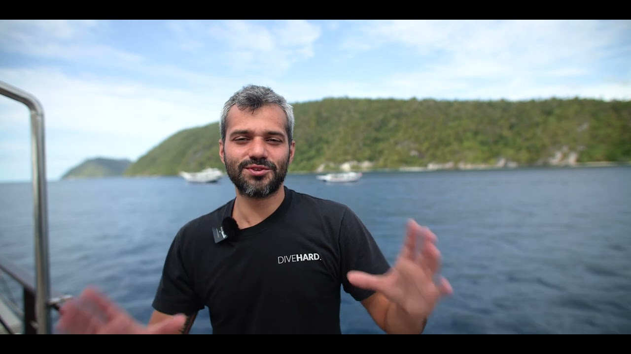 Diving Raja Ampat in 2024   4K