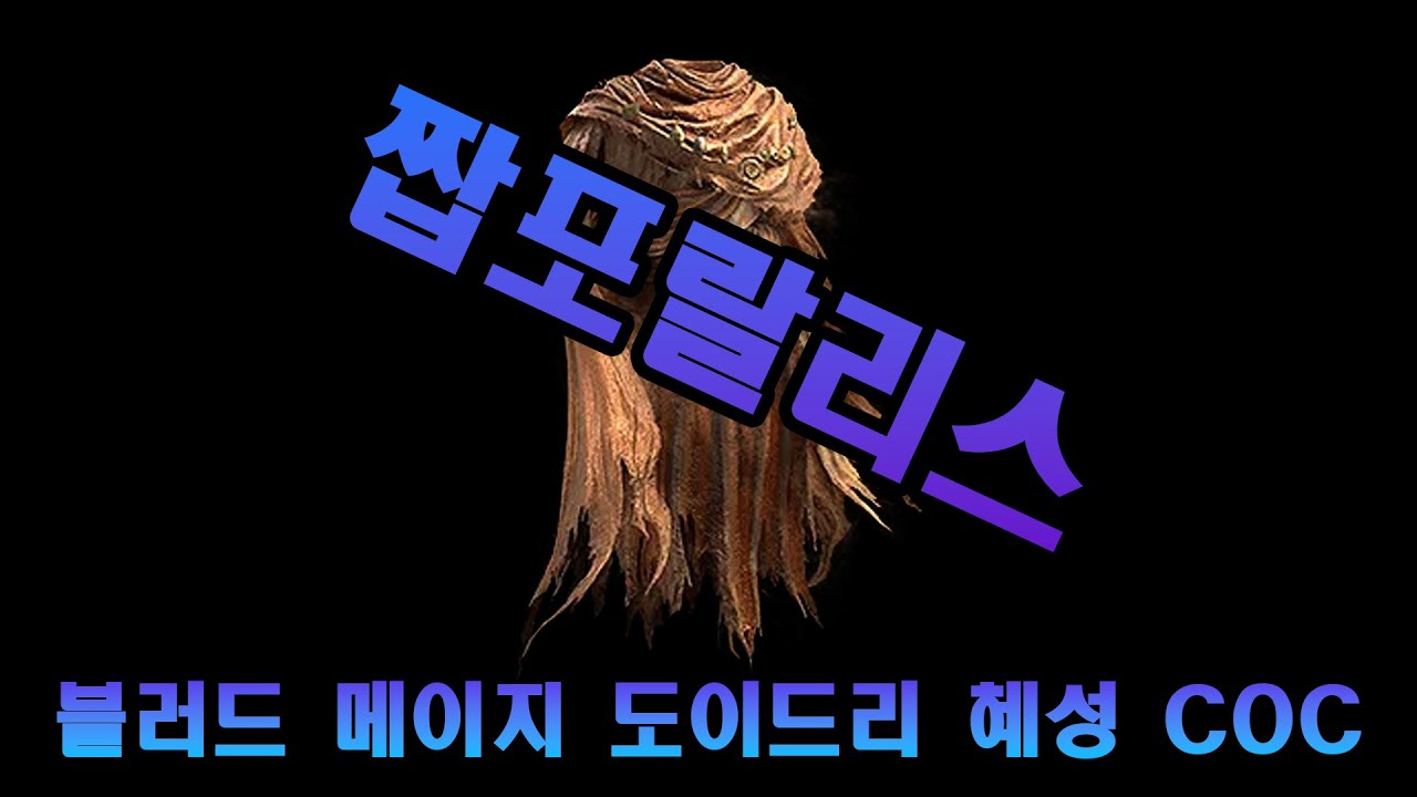 [패스오브엑자일2] 짭포랄리스 블러드 메이지 도이드리 혜성 CoC 세팅 가이드
