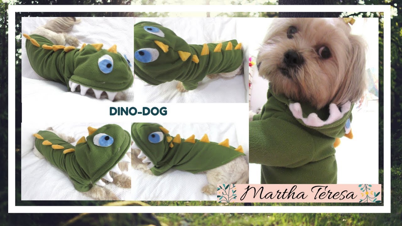 Còmo hacer un disfraz para tu mascota | DIY de halloween para perritos