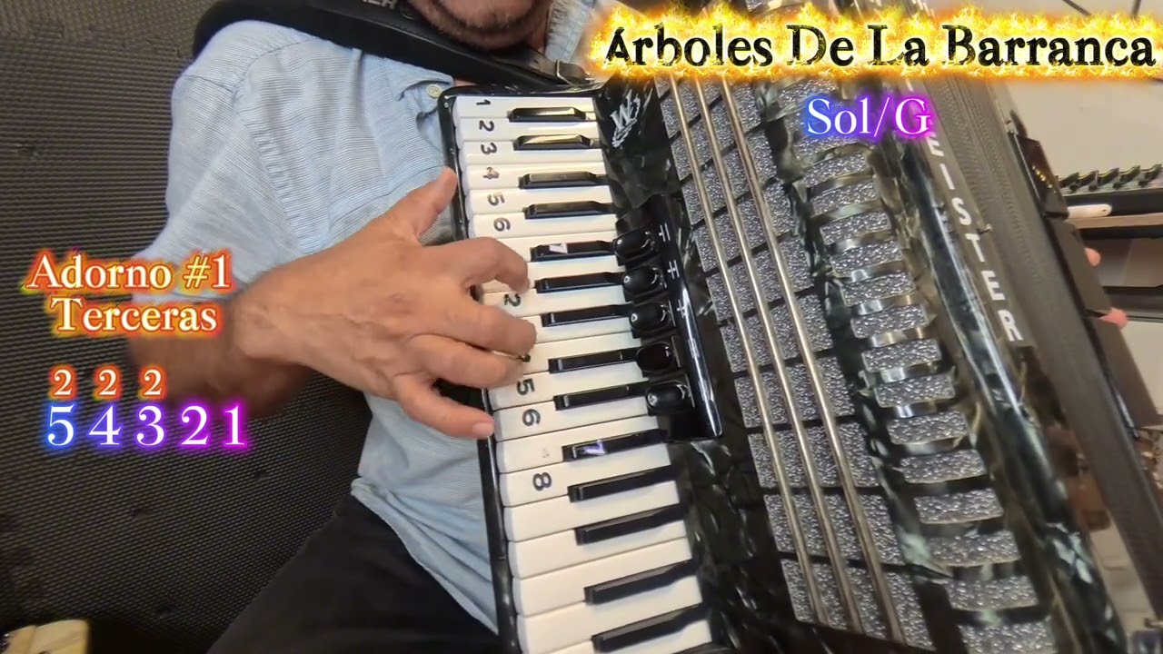 Tutorial #7. Árboles De La Barranca. Acordeon de Piano Escala De Sol/G