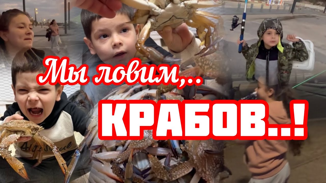 204.Израиль.Открыли сезон ловли крабов.Декабрь 2023 год