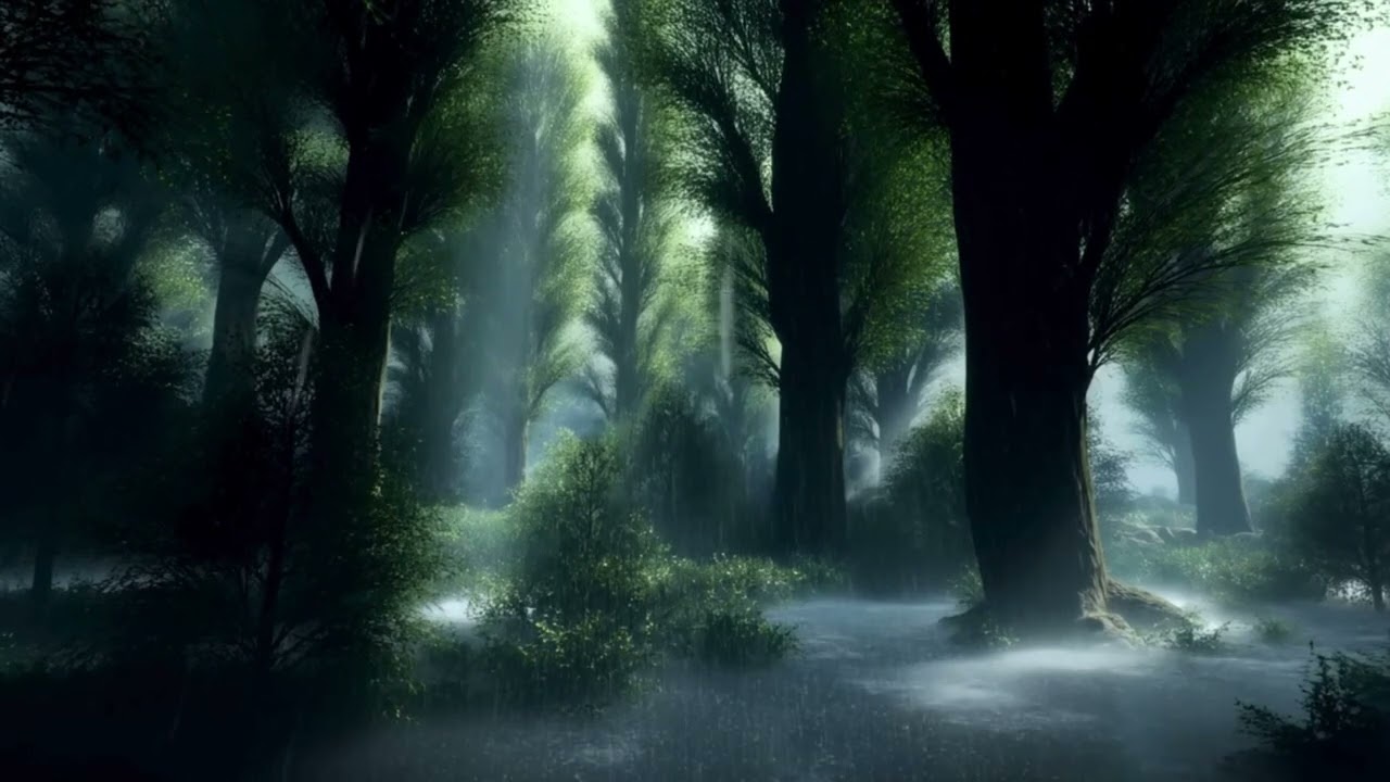 Night Forest Rain Sounds (No Music) | Fall Asleep Fast, Relaxing Ambience (4K, 1 Hour)