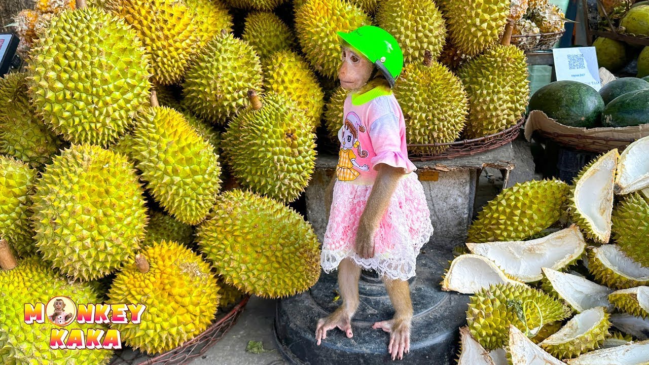 Mom took Monkey Kaka to buy durian with her mother