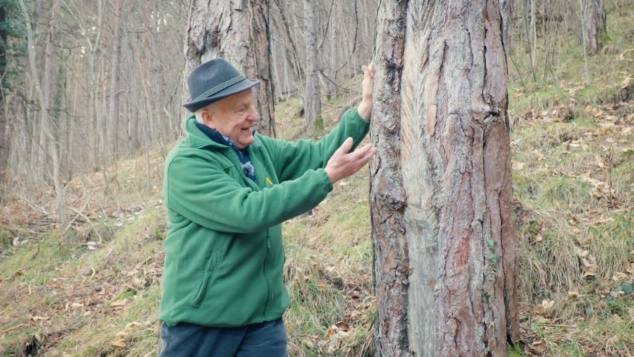 Val Vestino: sulle tracce degli antichi mestieri legati al bosco _ Avviso Unico Cultura 2025