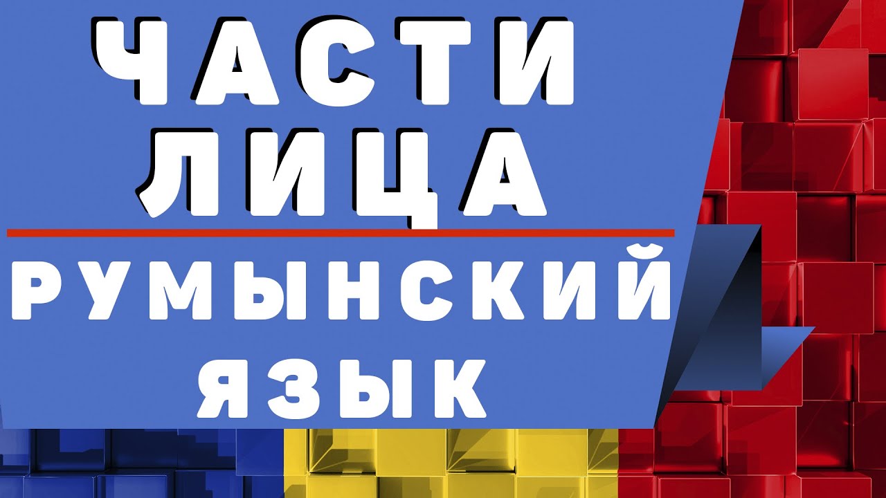 Румынский Язык: Части Лица