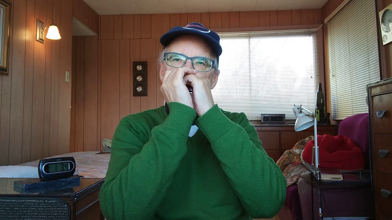 Travailler c'est trop dur (harmonica)