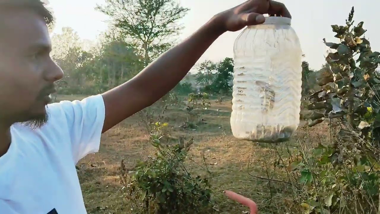 BABY COBRA SNAKE RESCUE AT THANAT VILLAGE #snake #snakerescue 