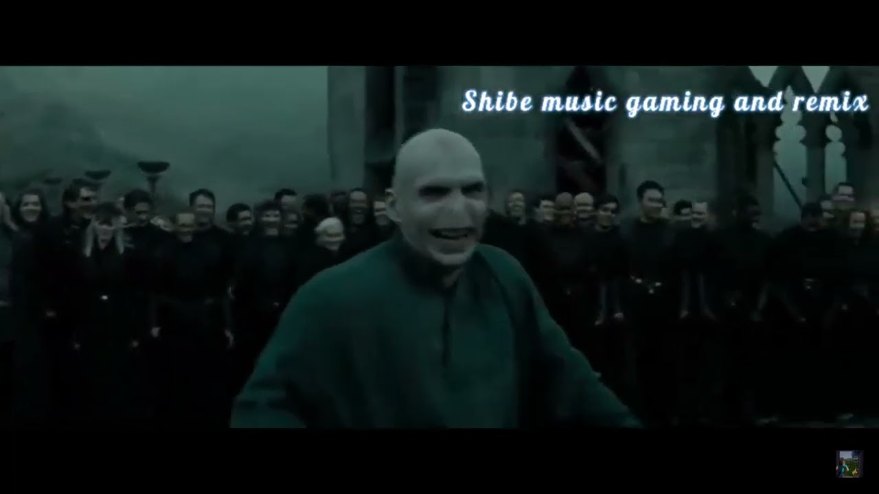 harry potter   coffin dance song cover S3 look pinned coment