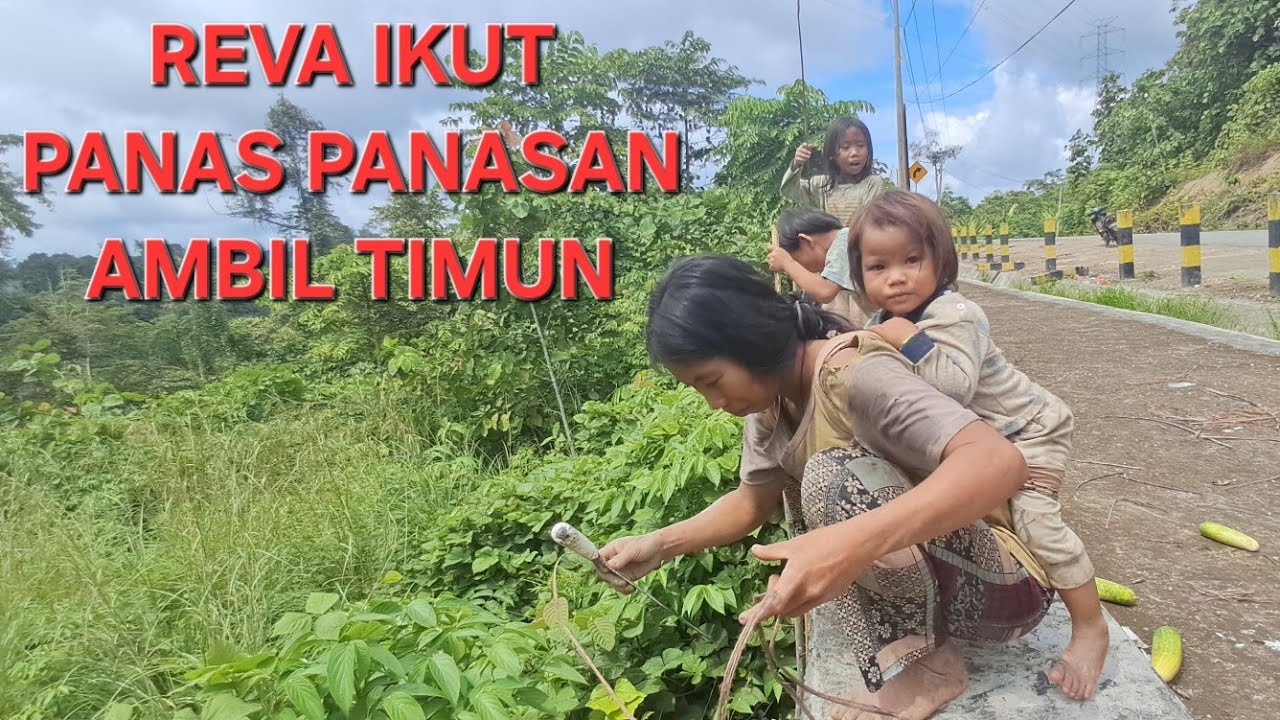 SEORANG IBU BERNAMA BU SAGAM MENGAMBIL TIMUN YANG DI BUANG ORANG BERSAMA ANAKNYA PANAS-PANASAN