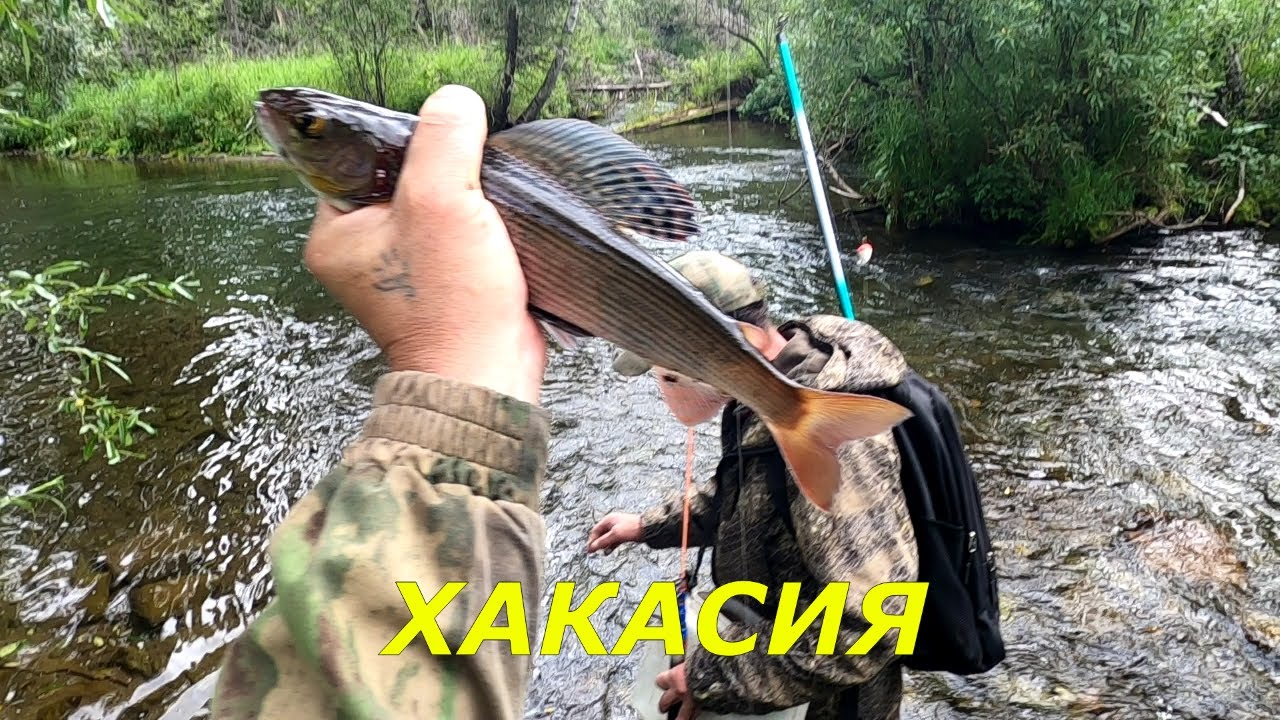 Ловля Хариуса в ХАКАСИИ - Рыбалка на Удочку и МУШКУ.